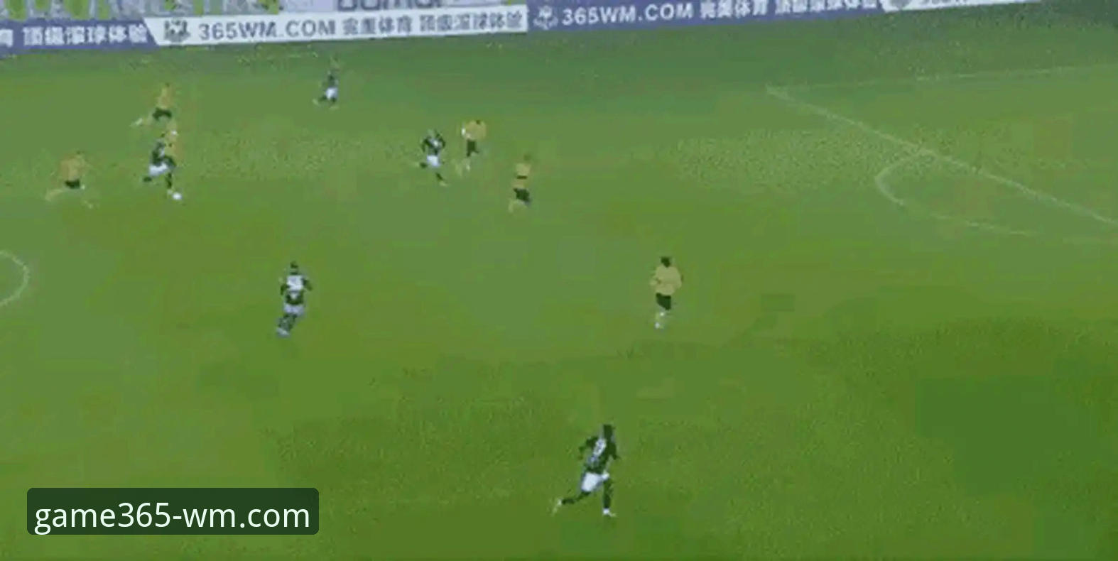 wm体育娱乐平台 揭秘完美体育365:wm体育娱乐平台技术评测与使用指南